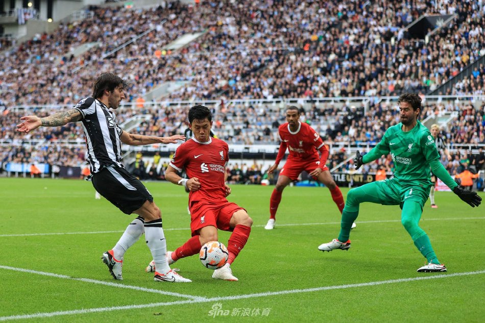 化的了解 化的了解