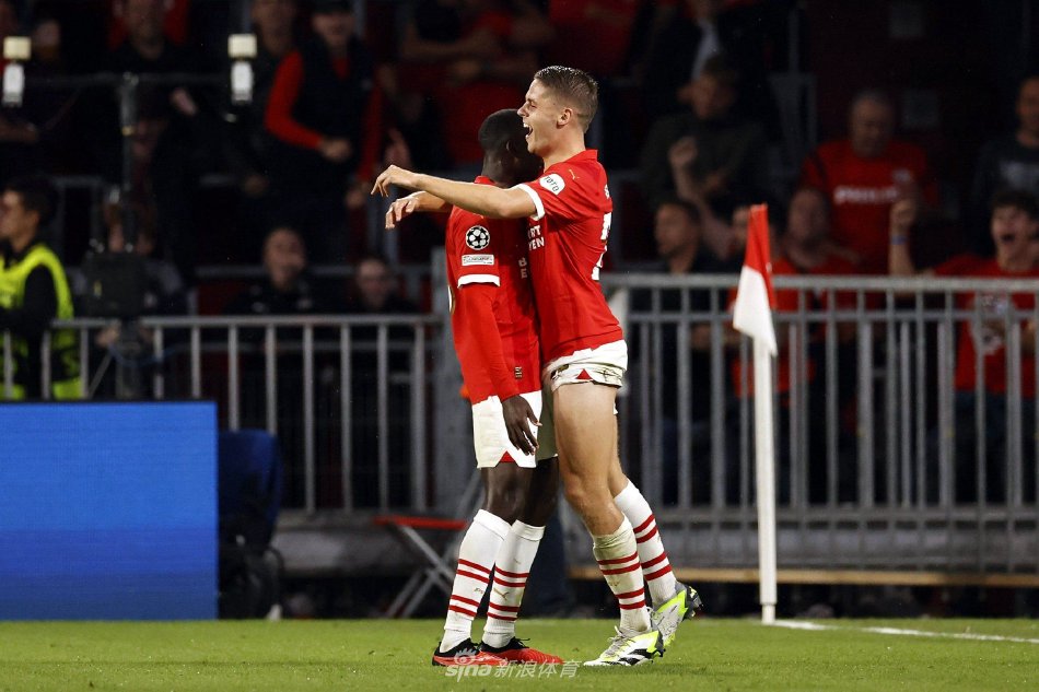 洋不仅是个 洋不仅是个