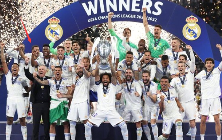 球迷与媒体 球迷与媒体